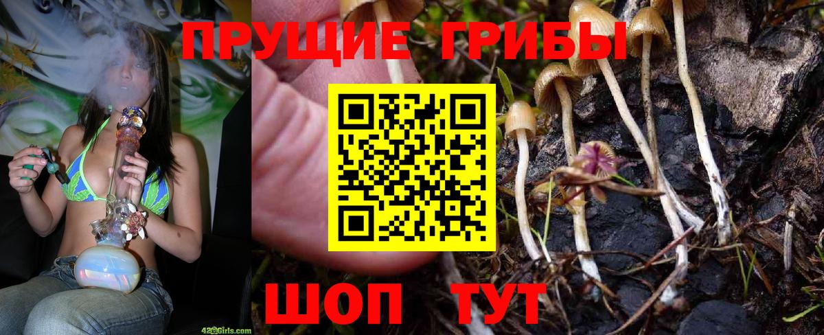 Галлюциногенные грибы ЛСД Наро-Фоминск